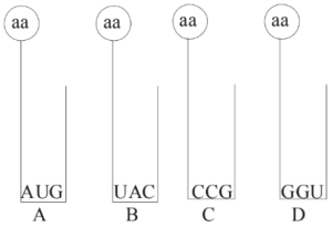 Question diagram