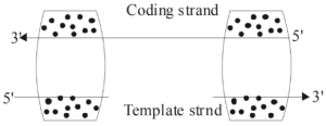 Question diagram