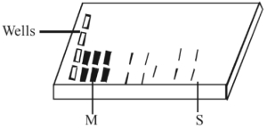 Question diagram