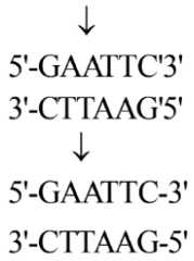 Solution diagram