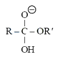 Option C