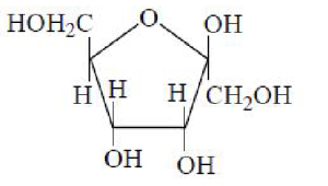 Option B