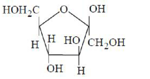 Option C