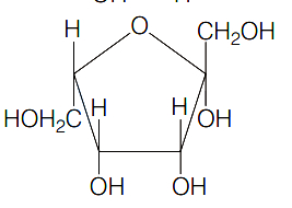 Option B