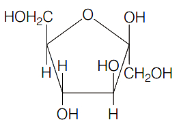 Option C