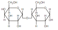 Option B
