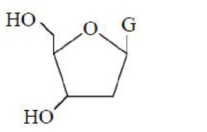 Option B