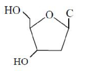 Option C