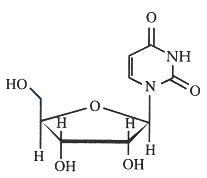 Option C