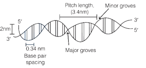 Solution diagram