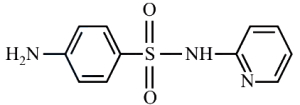 Option C