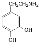 Option C