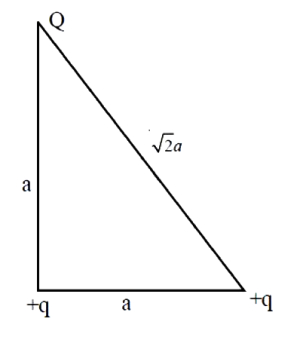 Question diagram