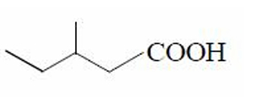 Option C