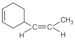 Option B