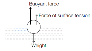 Solution diagram