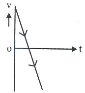Option C