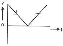 Option D