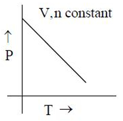 Option B