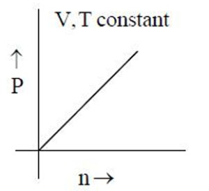 Option C