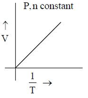 Option D