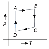 Option C