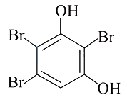 Option B