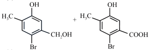 Option B