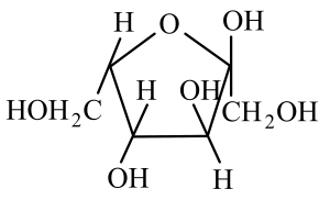 Option B