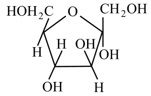 Option C