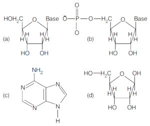 Question diagram
