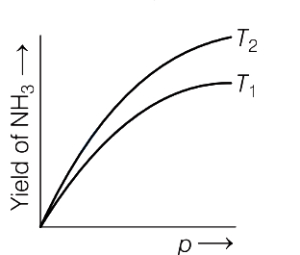 Option B