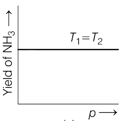 Option C