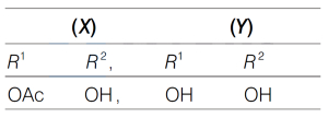Option C