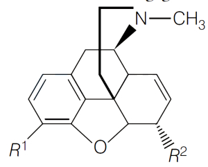 Question diagram