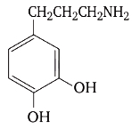 Option B