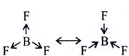 Option B