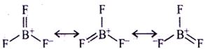 Option C