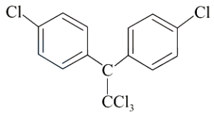 Option C