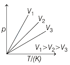 Option B