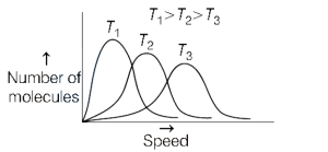 Option C