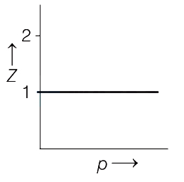 Option D