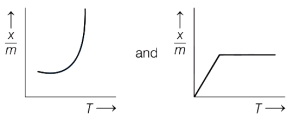 Option C