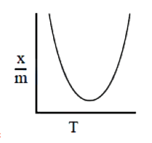 Option B