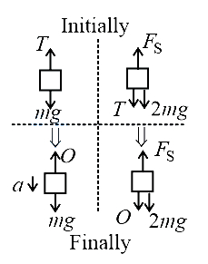 Solution diagram