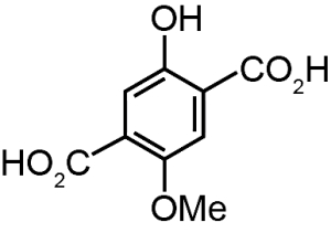 Option B
