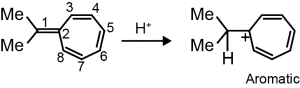 Solution diagram