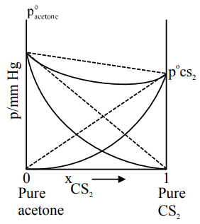 Option B