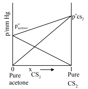 Option C