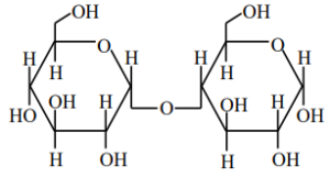 Option B